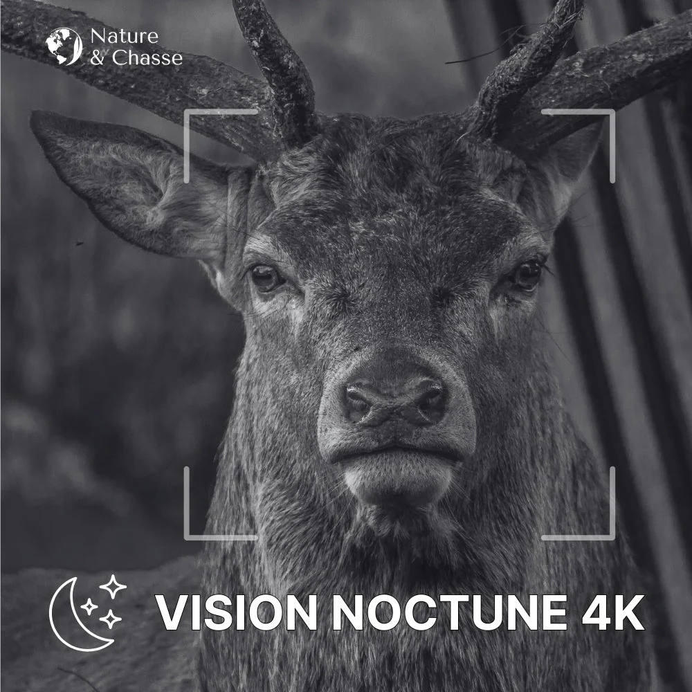 Caméra de chasse avec écran 4G+ - Image 5