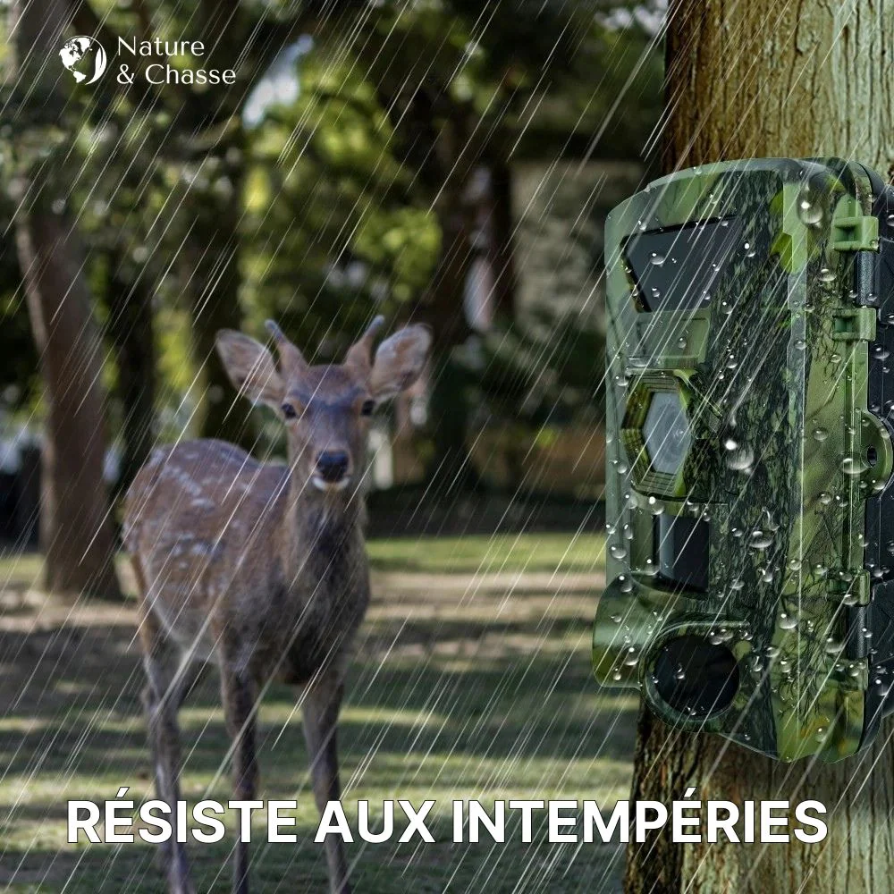 Caméra de chasse avec écran 4G+ - Image 6