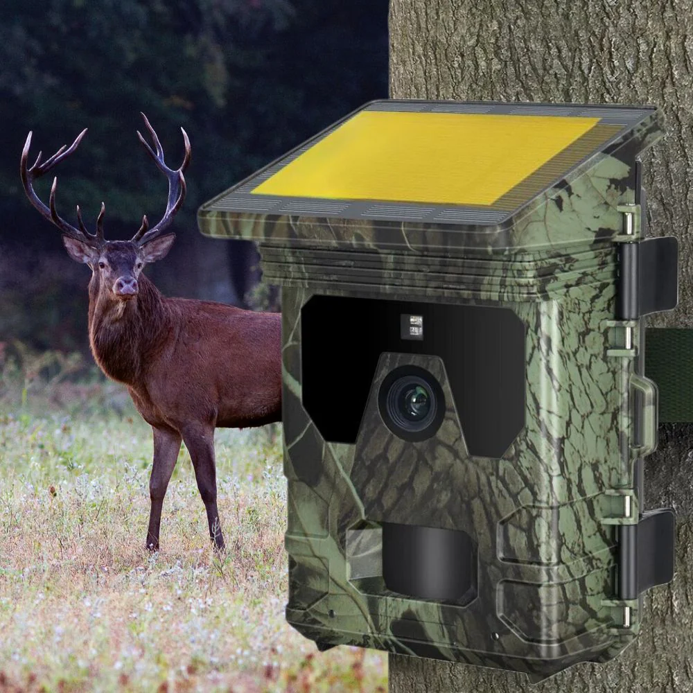 Caméra de chasse Solaire avec écran - Nature & Chasse® - Image 10