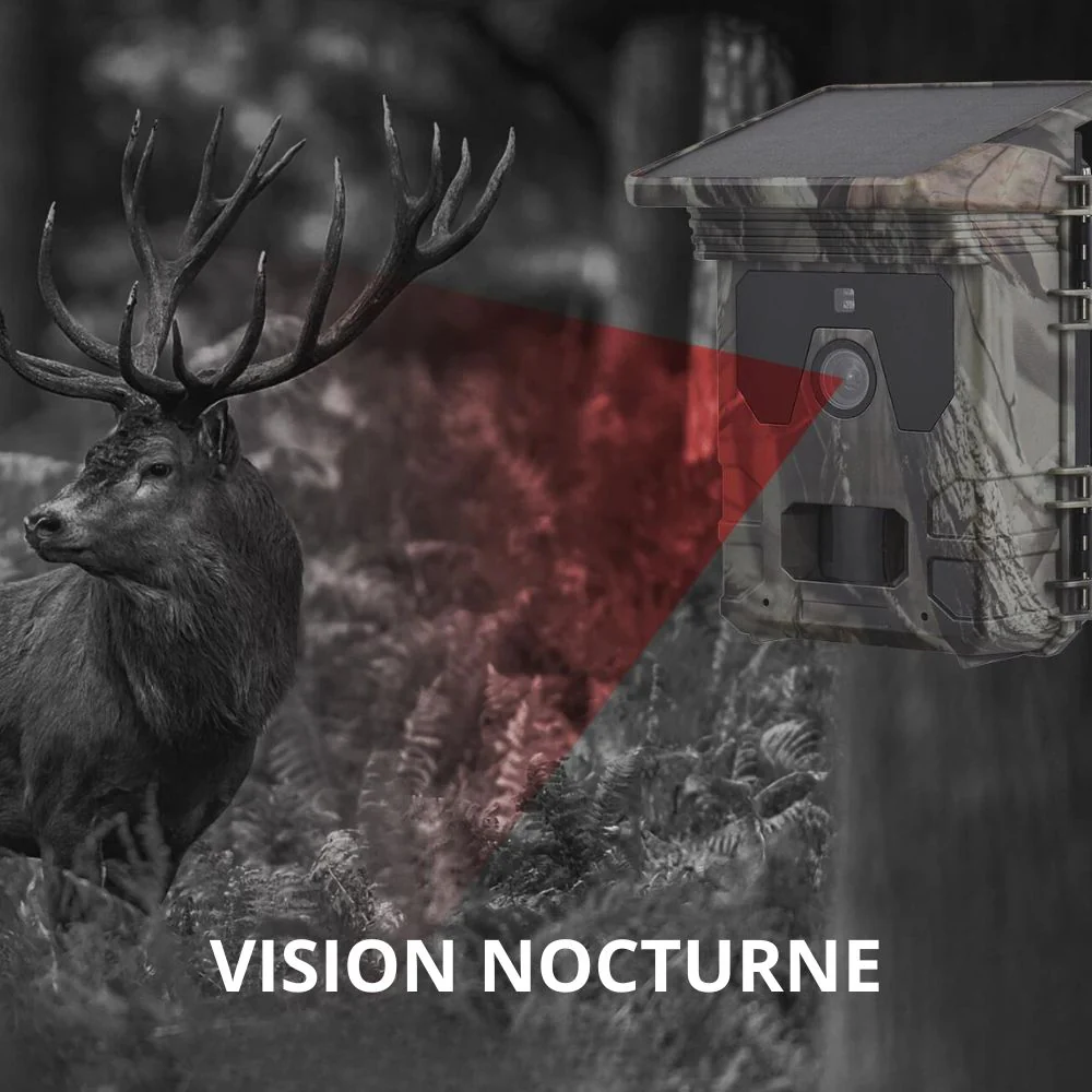 Caméra de chasse Solaire avec écran - Nature & Chasse® - Image 4