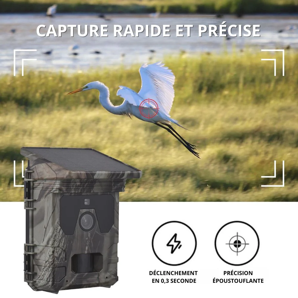 Caméra de chasse Solaire avec écran - Nature & Chasse® - Image 9