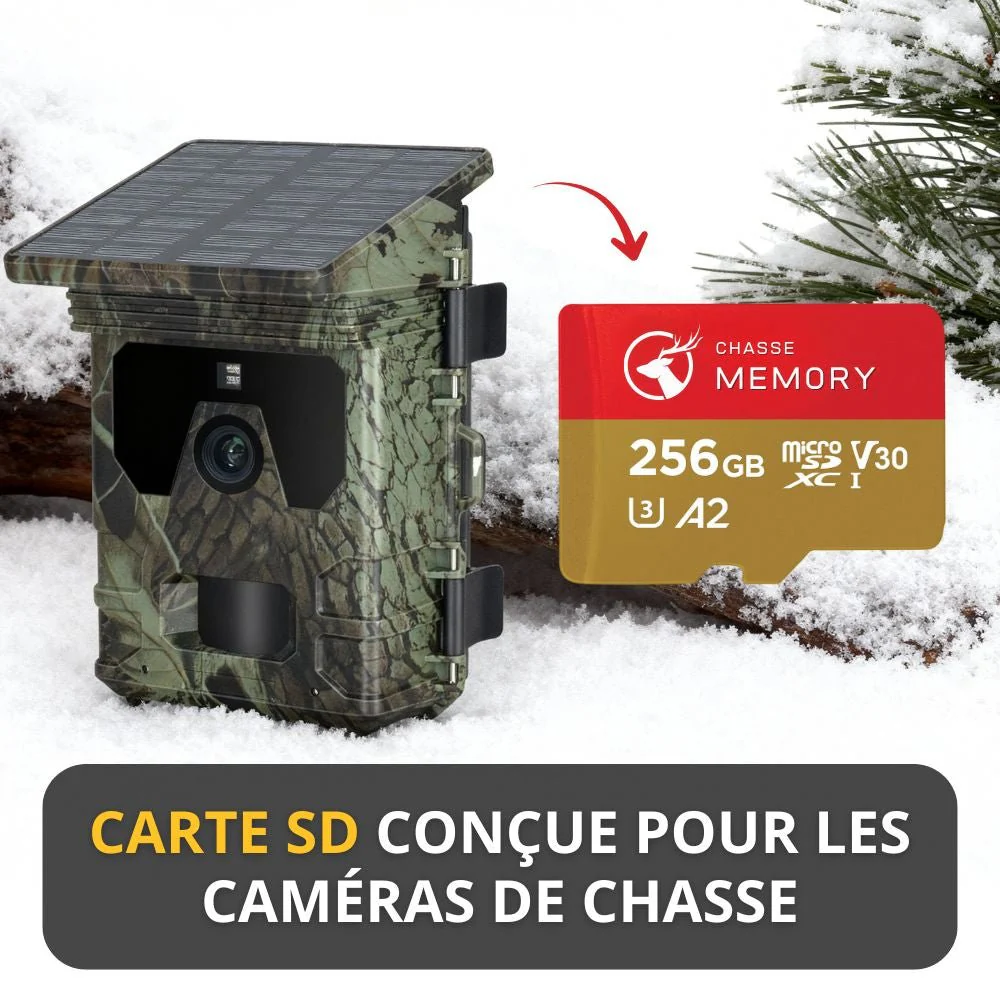 Carte Mémoire SD – Sauvegardez Vos Photos et Vidéos en Toute Sécurité